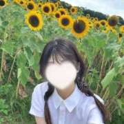 ヒメ日記 2025/07/20 06:34 投稿 ゆい 京都痴女性感フェチ倶楽部