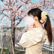 ヒメ日記 2026/04/05 11:09 投稿 ゆい 京都痴女性感フェチ倶楽部