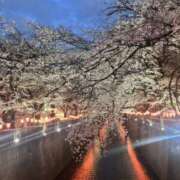 ヒメ日記 2025/04/07 13:49 投稿 あん CLUB POO HACHIOJI（プー八王子）