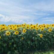 あん しゅっきん！ CLUB POO HACHIOJI（プー八王子）