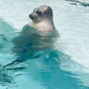 ヒメ日記 2025/05/19 09:39 投稿 さくら【性感】 性感エステBianca豊中店