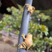 ヒメ日記 2025/06/03 10:01 投稿 さくら【性感】 性感エステBianca豊中店