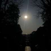 ヒメ日記 2025/06/11 19:01 投稿 さくら【性感】 性感エステBianca豊中店