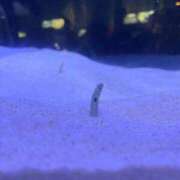 ヒメ日記 2025/06/25 08:08 投稿 さくら【性感】 性感エステBianca豊中店