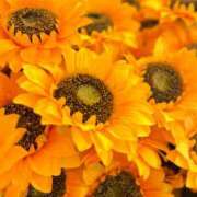 ヒメ日記 2025/07/08 06:30 投稿 さくら【性感】 性感エステBianca豊中店