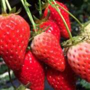 ヒメ日記 2025/07/09 08:24 投稿 さくら【性感】 性感エステBianca豊中店