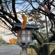 ヒメ日記 2025/10/21 09:26 投稿 さくら【性感】 性感エステBianca豊中店