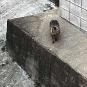 ヒメ日記 2025/10/22 10:33 投稿 さくら【性感】 性感エステBianca豊中店