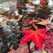 ヒメ日記 2025/10/28 08:27 投稿 さくら【性感】 性感エステBianca豊中店