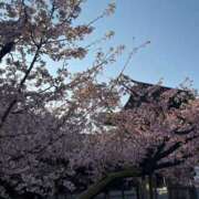 ヒメ日記 2026/02/27 09:18 投稿 さくら【性感】 性感エステBianca豊中店