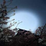 ヒメ日記 2026/03/04 14:10 投稿 さくら【性感】 性感エステBianca豊中店