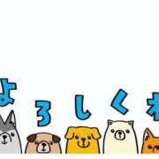 ヒメ日記 2025/05/15 17:06 投稿 内田　りこ NADIA京都店