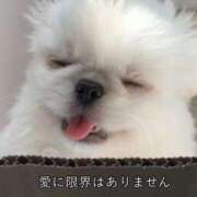 ヒメ日記 2024/12/13 11:38 投稿 涼森みう ウルトラロイヤル