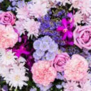 ヒメ日記 2025/02/23 12:22 投稿 ゆりね 神戸人妻援護会