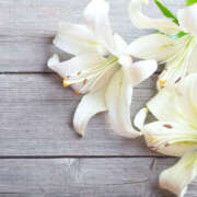 ヒメ日記 2025/06/27 11:59 投稿 ゆりね 神戸人妻援護会