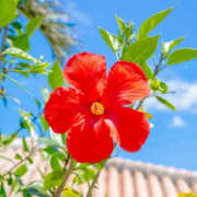 ヒメ日記 2025/08/16 12:30 投稿 ゆりね 大阪人妻援護会