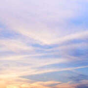 ゆりね ゆりねです 大阪人妻援護会