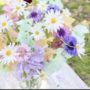 ヒメ日記 2025/03/03 12:53 投稿 ゆりね 和歌山人妻援護会