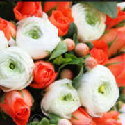 ヒメ日記 2025/03/05 18:24 投稿 ゆりね 和歌山人妻援護会