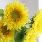 ヒメ日記 2025/07/26 13:00 投稿 ゆりね 和歌山人妻援護会