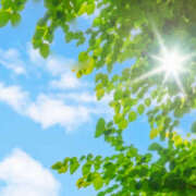 ヒメ日記 2025/06/21 12:23 投稿 ゆりね 阪神人妻花壇