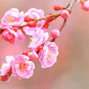 ヒメ日記 2025/03/01 10:50 投稿 ゆりね 大阪堺人妻援護会