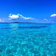 ヒメ日記 2025/09/01 11:50 投稿 ゆりね 大阪堺人妻援護会