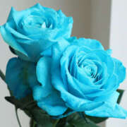 ヒメ日記 2025/08/14 10:18 投稿 ゆりね 尼崎人妻援護会