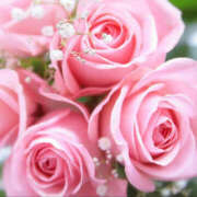 ヒメ日記 2025/09/13 12:22 投稿 ゆりね 神戸人妻花壇