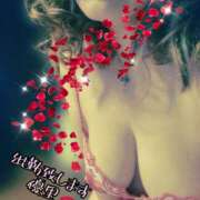 ヒメ日記 2025/05/16 11:18 投稿 優里(ゆり) 人妻城 横浜本店