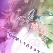 ヒメ日記 2025/07/08 15:00 投稿 優里(ゆり) 人妻城 横浜本店