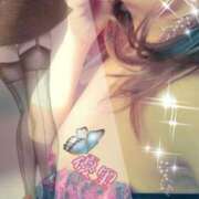 ヒメ日記 2025/07/23 06:36 投稿 優里(ゆり) 人妻城 横浜本店