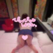 ヒメ日記 2025/11/14 11:02 投稿 ひめの 沼津人妻花壇