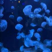 ヒメ日記 2026/02/05 11:41 投稿 ひめの 沼津人妻花壇