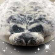 ヒメ日記 2025/09/25 11:04 投稿 あかり 鶯谷おかあさん