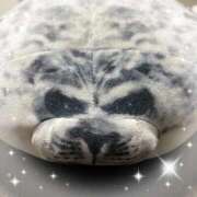 ヒメ日記 2025/09/25 11:24 投稿 あかり 鶯谷おかあさん