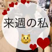 ヒメ日記 2025/02/28 18:16 投稿 瀬名（セナ） アバンチュール(五反田)