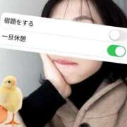 ヒメ日記 2025/03/03 19:31 投稿 瀬名（セナ） アバンチュール(五反田)