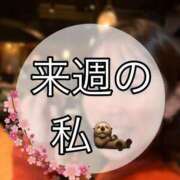 ヒメ日記 2025/03/05 23:16 投稿 瀬名（セナ） アバンチュール(五反田)