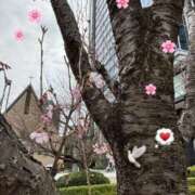 ヒメ日記 2025/03/24 13:31 投稿 瀬名（セナ） アバンチュール(五反田)