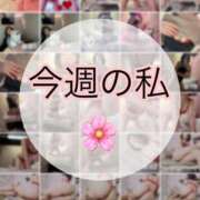 ヒメ日記 2025/03/30 20:16 投稿 瀬名（セナ） アバンチュール(五反田)