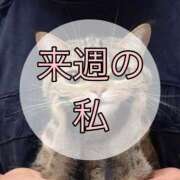 ヒメ日記 2025/04/25 10:31 投稿 瀬名（セナ） アバンチュール(五反田)