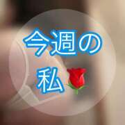 ヒメ日記 2025/05/04 23:16 投稿 瀬名（セナ） アバンチュール(五反田)