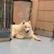 ヒメ日記 2025/05/06 12:32 投稿 瀬名（セナ） アバンチュール(五反田)