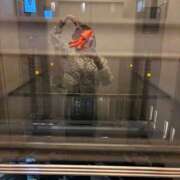 ヒメ日記 2025/05/12 23:16 投稿 瀬名（セナ） アバンチュール(五反田)