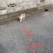 ヒメ日記 2025/06/15 19:16 投稿 瀬名（セナ） アバンチュール(五反田)