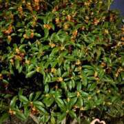 ヒメ日記 2025/10/21 21:01 投稿 瀬名（セナ） アバンチュール(五反田)