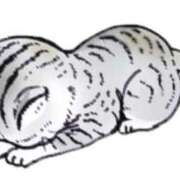 瀬名（セナ） 【生牡蠣の洗礼?】 アバンチュール(五反田)