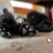 ヒメ日記 2026/01/15 13:01 投稿 瀬名（セナ） アバンチュール(五反田)