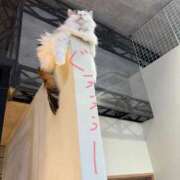 瀬名（セナ） 【癒し度??????】 アバンチュール(五反田)